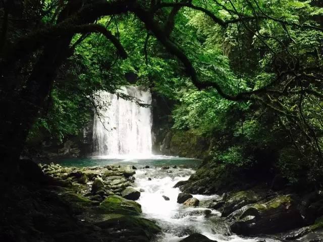 矿工打地鼠