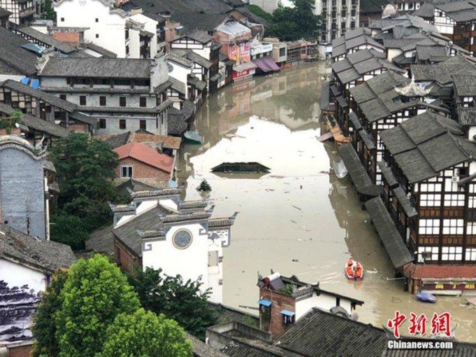动物家园守卫战